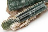 Green Verdelite Tourmaline and Muscovite Association - Brazil #217529-3